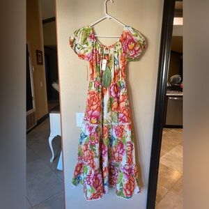 Beautiful dress from anthropology